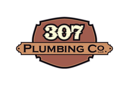307 Plumbing Co. LLC Logo