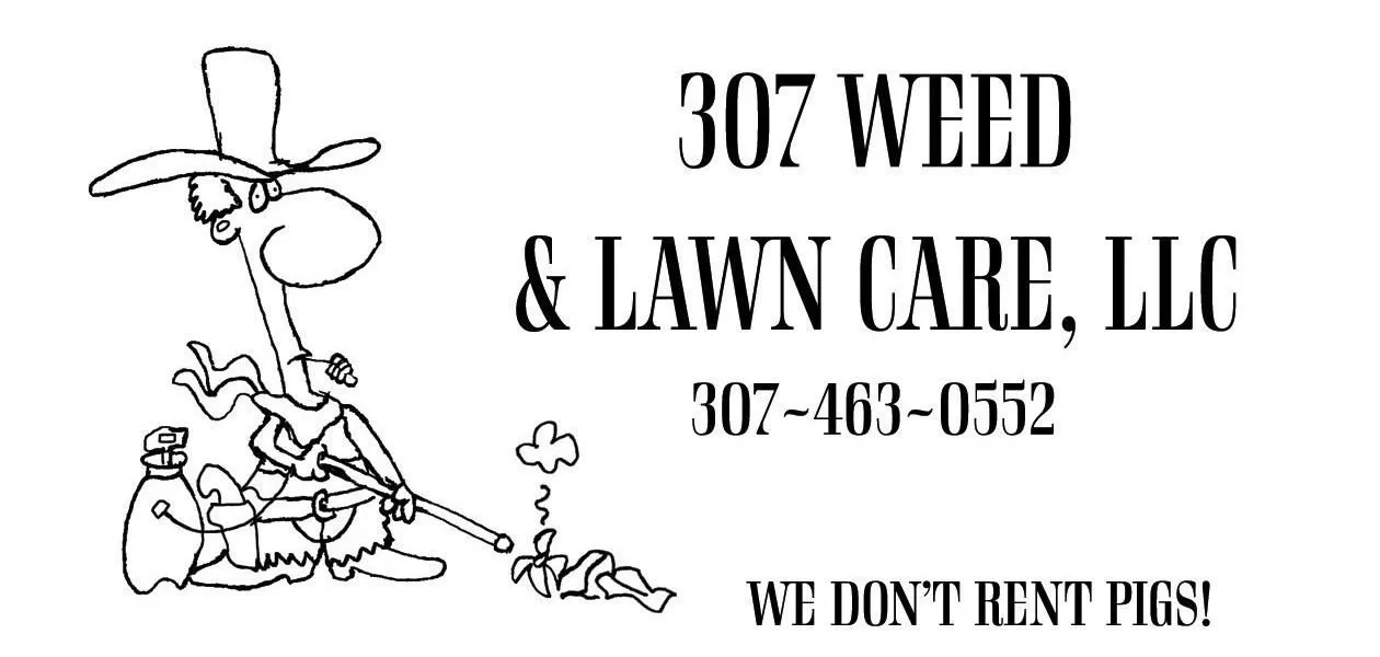 307 Weed and Lawn Care, LLC Logo