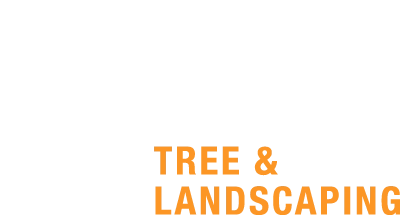 361 Tree & Landscaping Logo