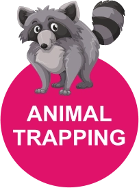 4Real Pest Control & Professional Animal Trapping LLC Logo