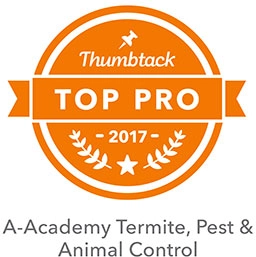 A-Academy Termite & Pest Logo