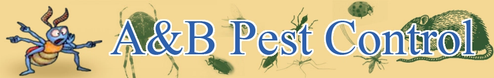 A & B Pest Logo