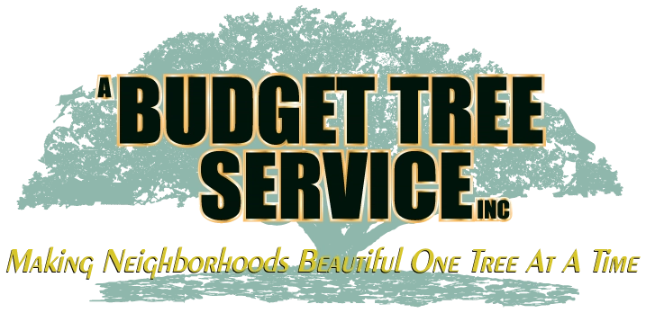 A Budget Tree Service, Inc Logo