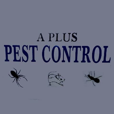 A-Plus Pest Control Logo