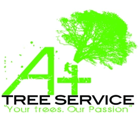 A Plus Tree Service Sioux Falls Logo