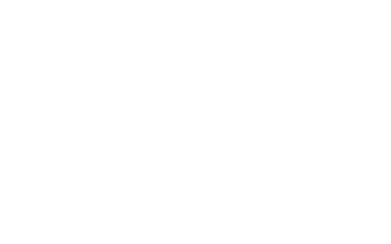 A Step Above Inc. Logo