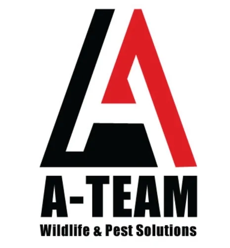 A-Team Wildlife & Pest Solutions Logo