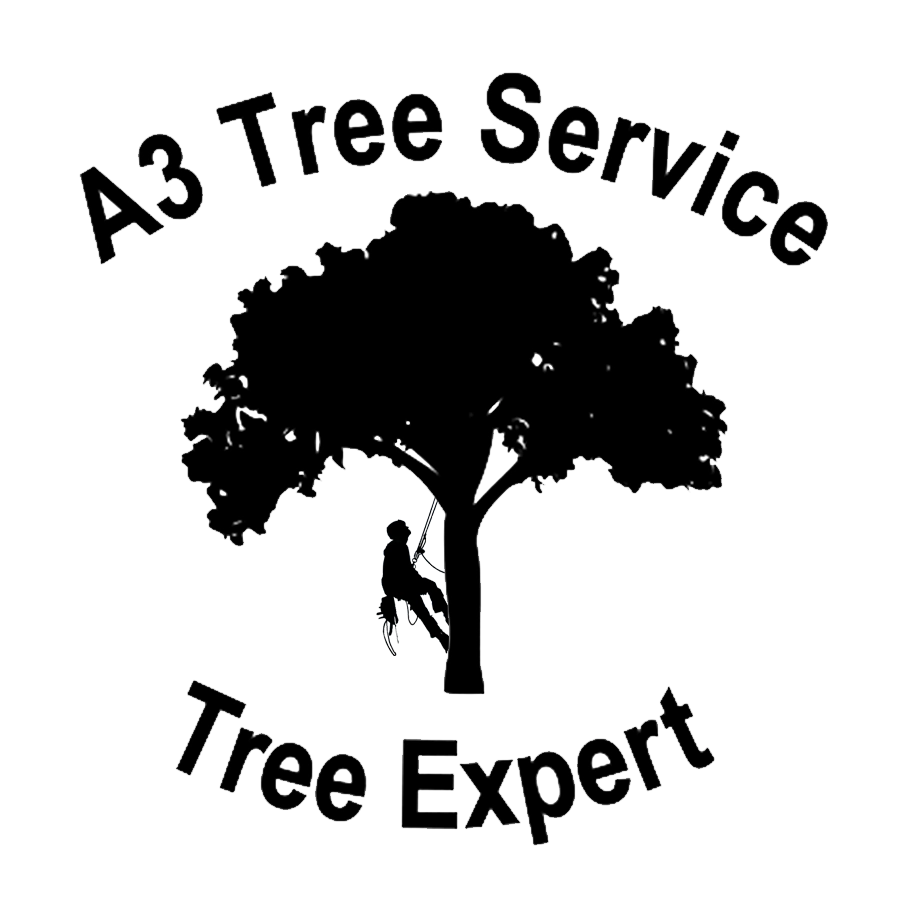 A3 Tree Service Logo