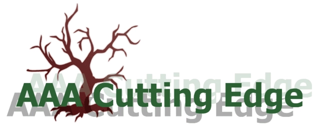 AAA Cutting Edge Logo