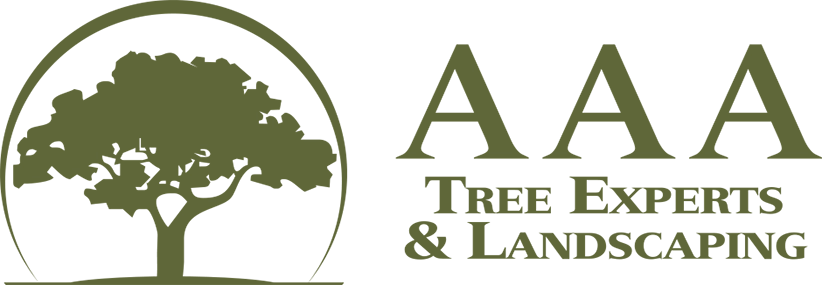 AAA Tree Experts & Landscaping Logo