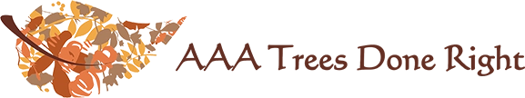 AAA TREES DONE RIGHT Logo
