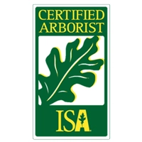 A&E Arborists Tree Care Logo