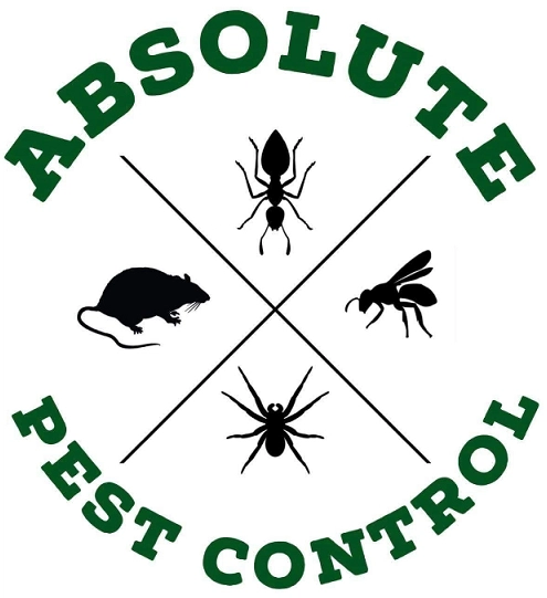 Absolute pest control Logo