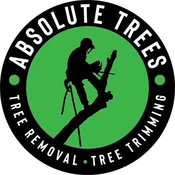 Absolute Trees Logo
