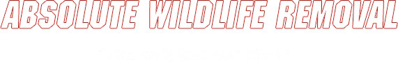 Absolute Wildlife Removal Logo