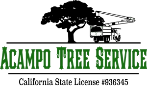Acampo Tree Service Logo