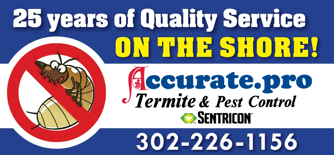 Accurate Termite & Pest Control Logo