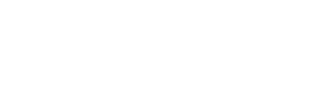 Action Plumbing Inc Logo