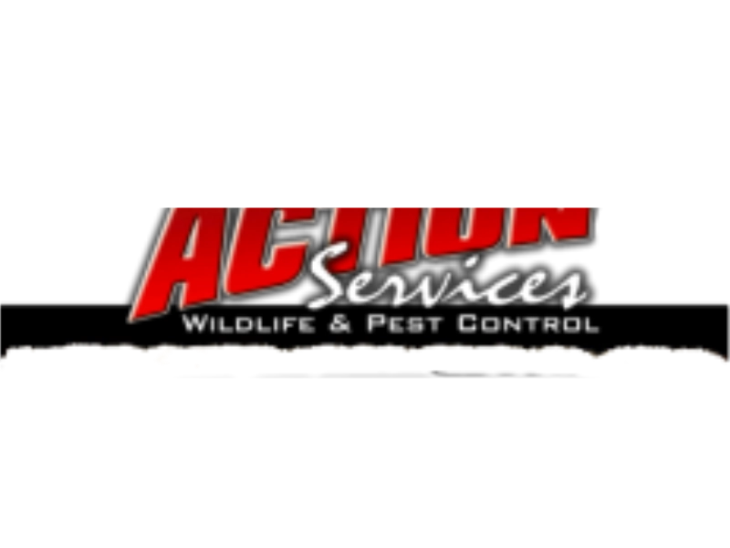 Action Services WildLife & Pest Control Logo