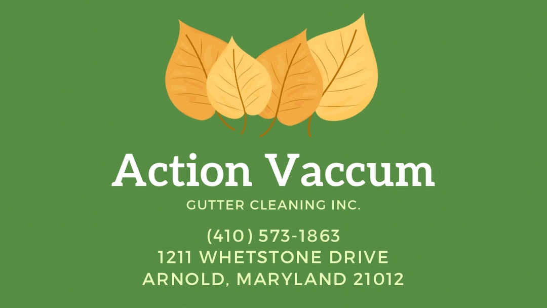 Action Vacuum Gutter Cleaning Logo