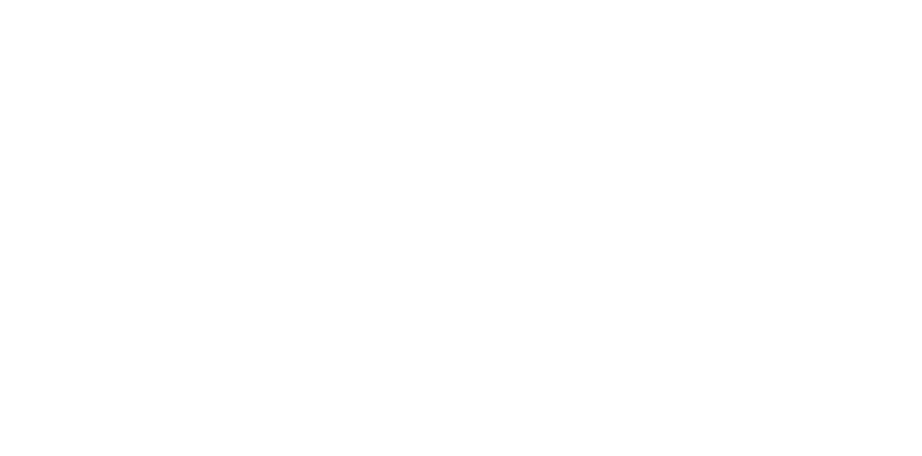 Adam's Air Logo