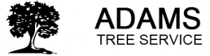 Adam's Trees Designs and Services Logo