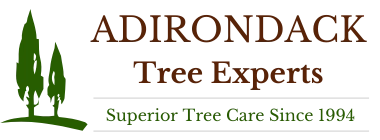 Adirondack Tree Experts Logo
