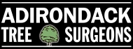 Adirondack Tree Surgeons Inc Logo