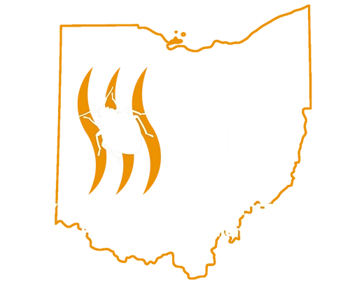 Advanced Environmental Pest Solutions Logo
