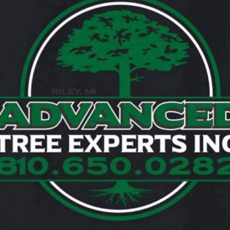 Advanced Tree 10 Best Tree Removal Companies in Fort Gratiot, MI - Today's Homeowner