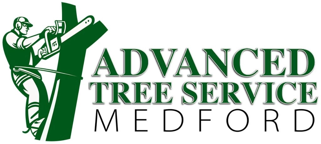 Advanced Tree Service & Landscaping Logo