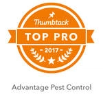 Advantage Pest Control Logo