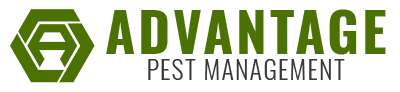 Advantage Pest Management Logo