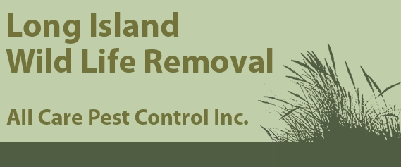 All Care Pest Control, Inc. Logo