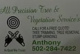 All Precision Tree and Vegetation Services Logo