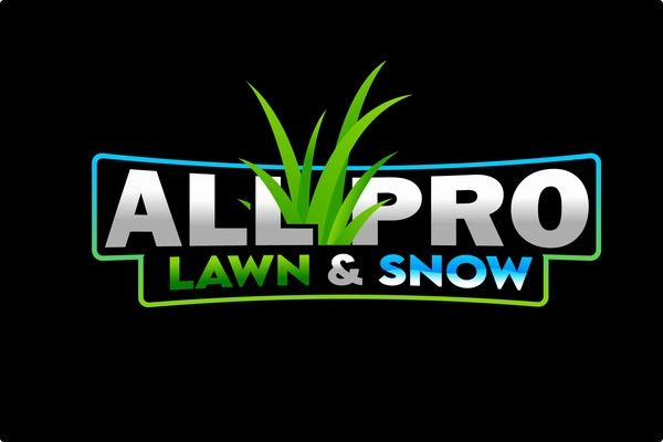 All Pro Lawn & Snow Logo