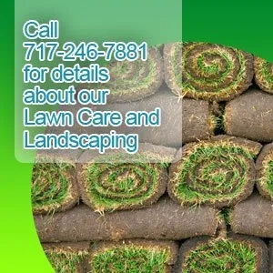 All Seasons Lawn and Landscaping Logo