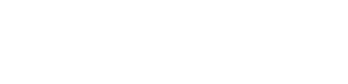 Alpha International Movers, Inc. Logo