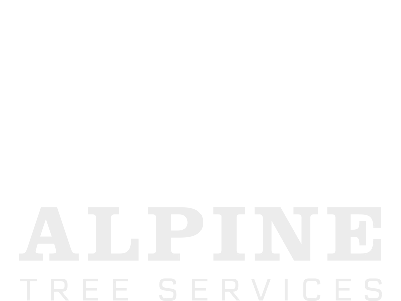 Alpine Tree Services LLC Logo