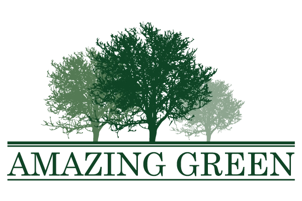 Amazing Green Services Logo