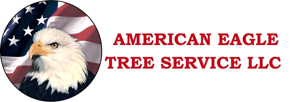 American Eagle Tree Service Logo