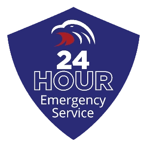 American Services Logo