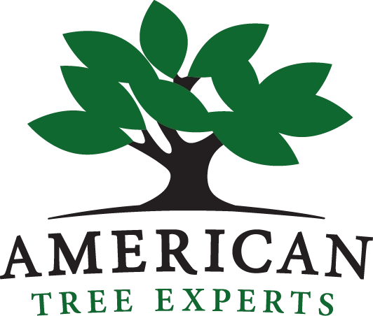 American Tree Experts Inc Logo