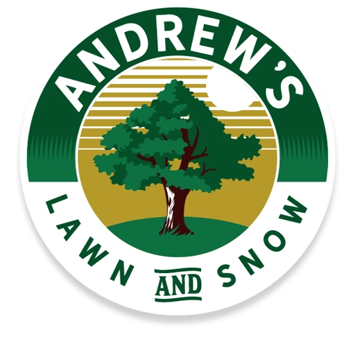 Snow and Lawn Care Services Logo