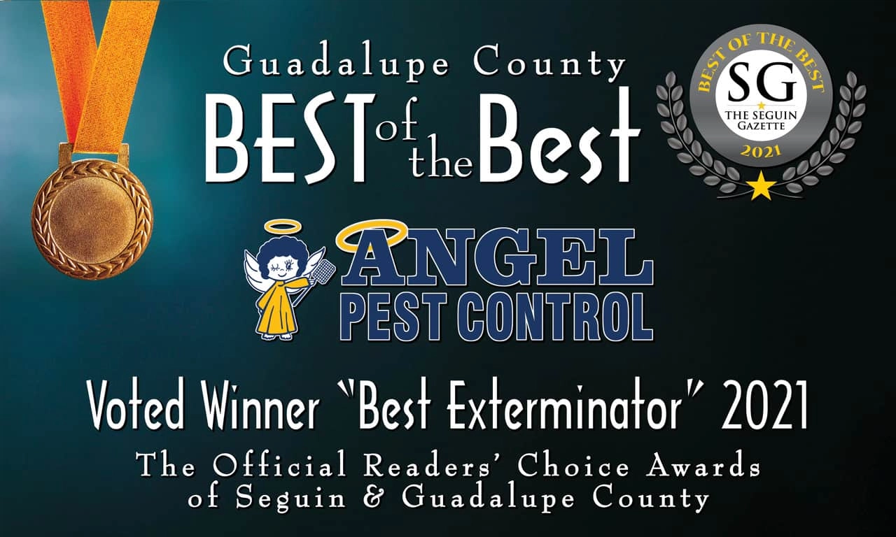 Angel Pest Control Logo