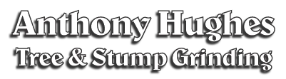Anthony Hughes Tree & Stump Grinding Logo