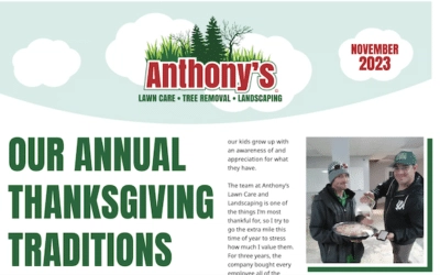 Anthony's Lawn Care and Landscaping Logo