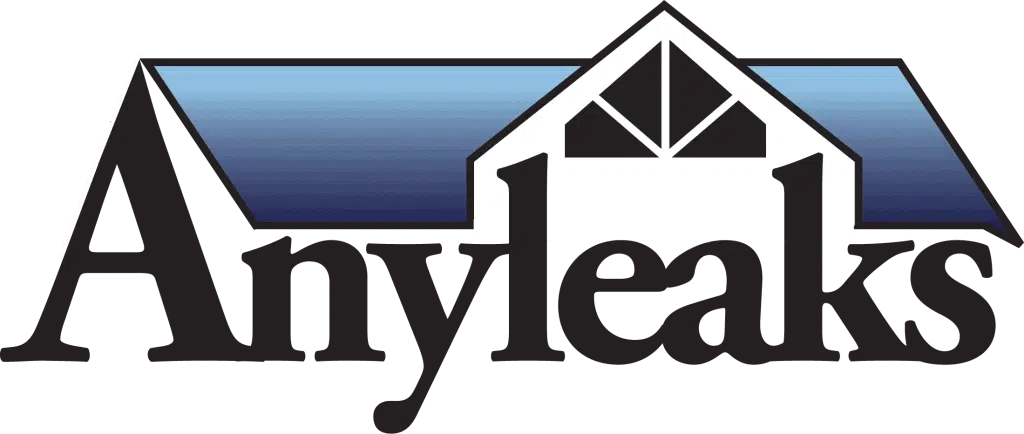 Anyleaks Logo