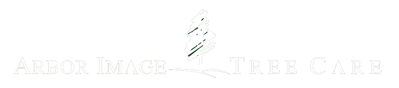 Arbor Image Tree Care Logo
