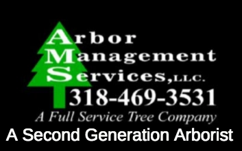 Arbor Management Services LLC Logo